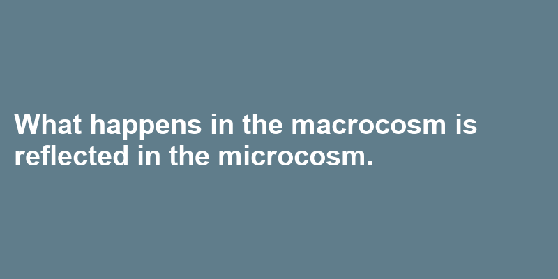 A sentence using macrocosm