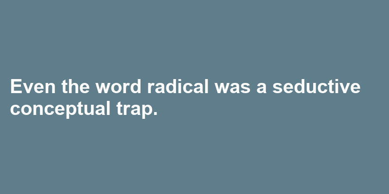 A sentence using radical