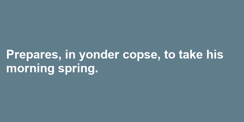 A sentence using yonder