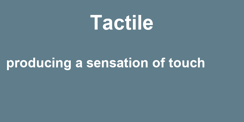 Definition of tactile