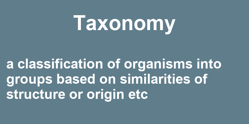 Definition of taxonomy