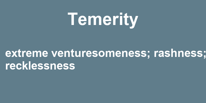 Temerity In A Sentence 43 Real Example Sentences