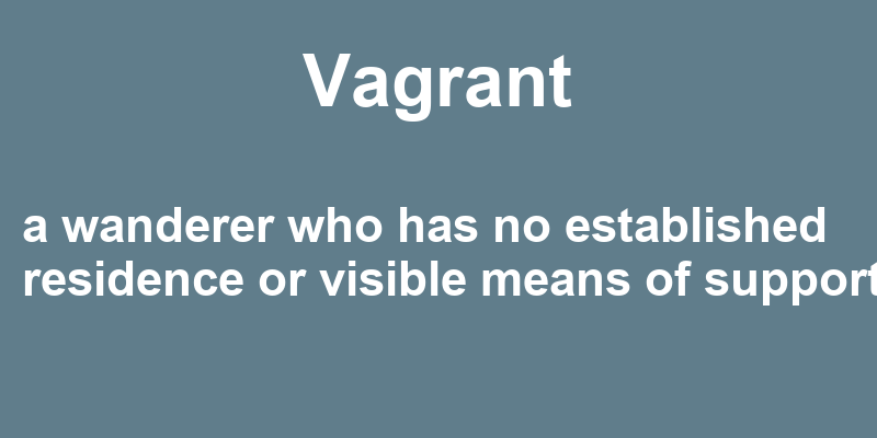 Definition of vagrant