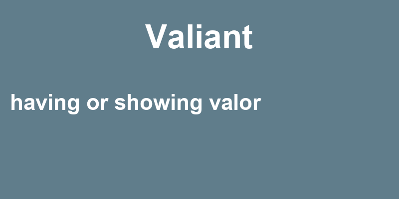 Definition of valiant