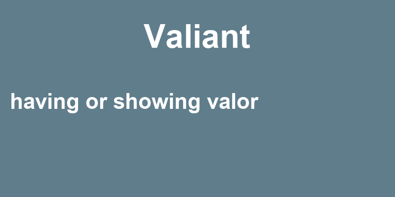 valiant-in-a-sentence-39-real-example-sentences