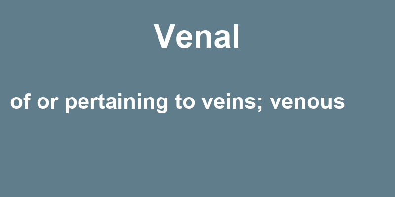 Venal In A Sentence 41 Real Example Sentences