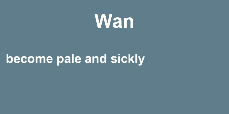 Definition of wan