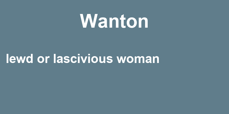 Definition of wanton