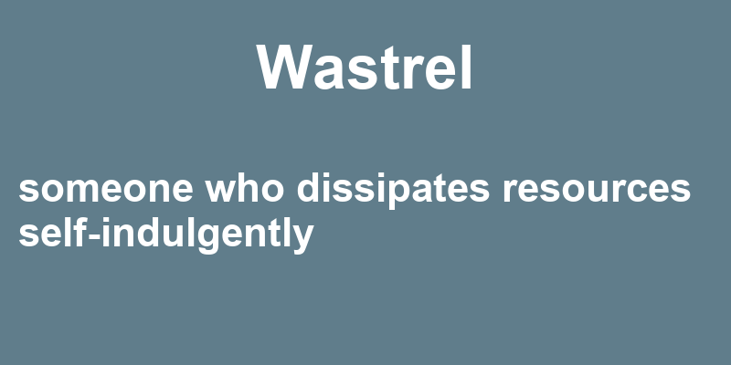 Definition of wastrel