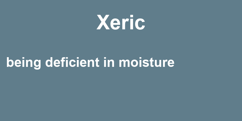 Definition of xeric