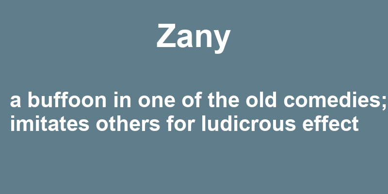 Definition of zany